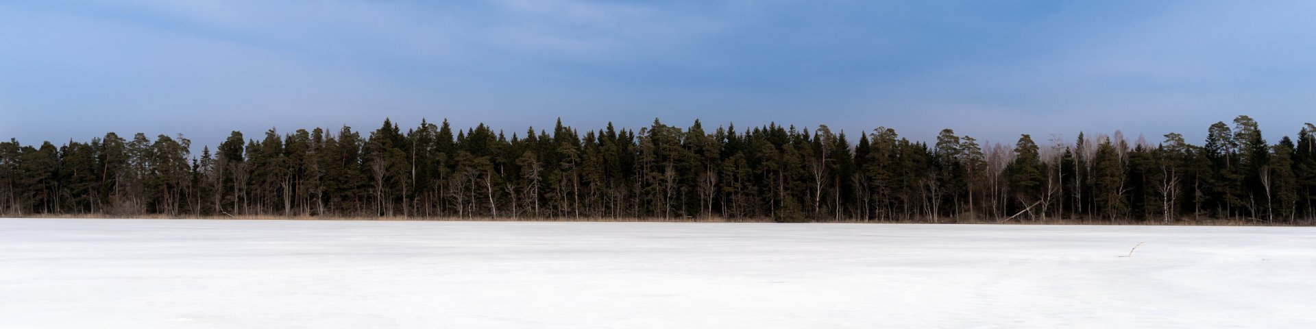 Eesti loodus, sinimustvalge,autor Martti Volt